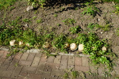 峠の釜めし再利用