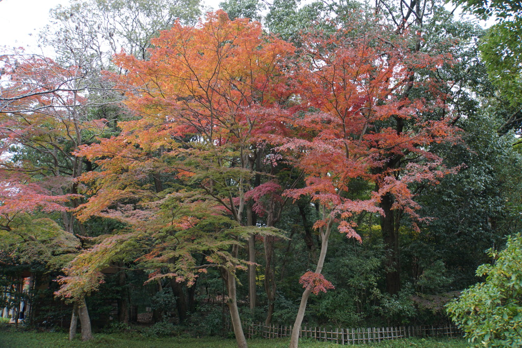 又来年も頼むよ