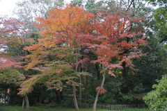又来年も頼むよ