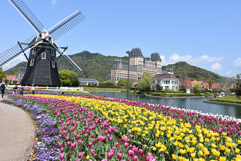 チューリップと風車