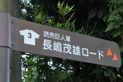 伊豆大仁、自主トレの場所