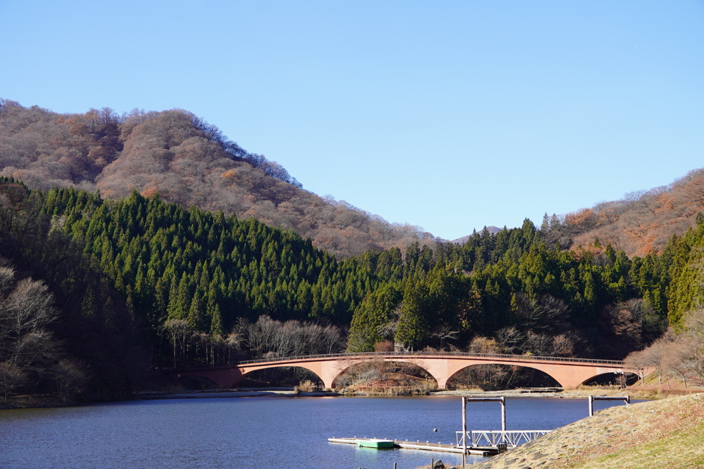 冬枯れの碓氷湖