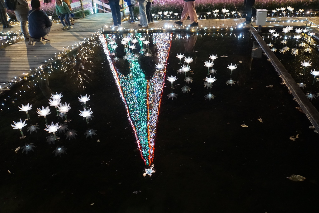 水面逆さイルミ