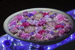 イルミに寄せ花