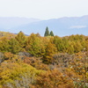 斑尾の紅葉