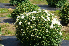 まだまだこれから