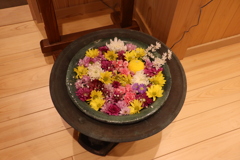 夜間公開