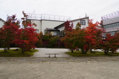 寺町の紅葉７