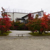 寺町の紅葉７