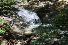 橋下の渓流