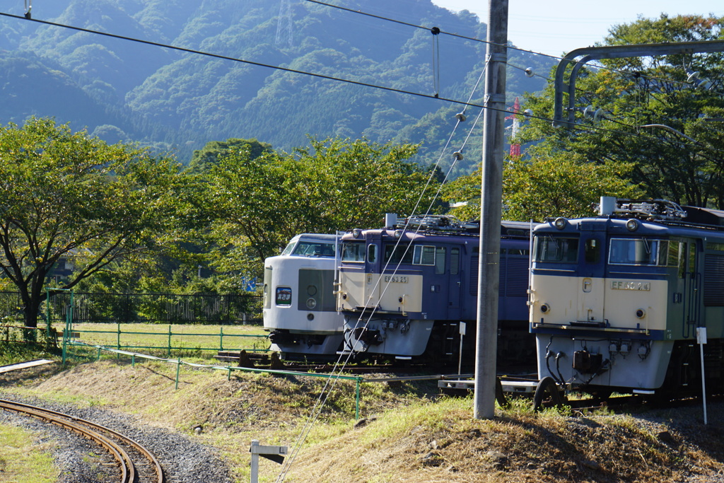 かつての信越本線のスターそろい踏み