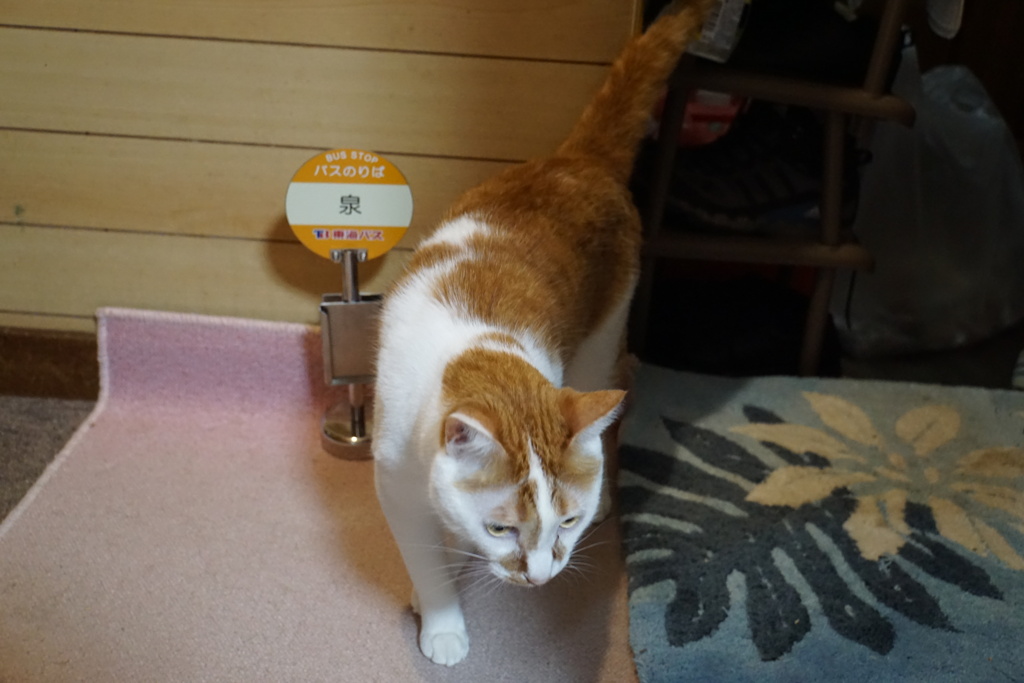 バス停にトトロの猫バス登場