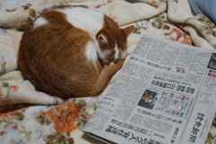 眠くなっちゃた