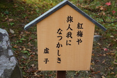 虚子の一句