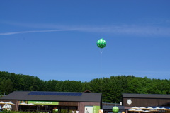 あーメロン食べたい