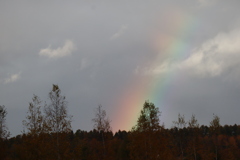 色彩の丘より虹を見る