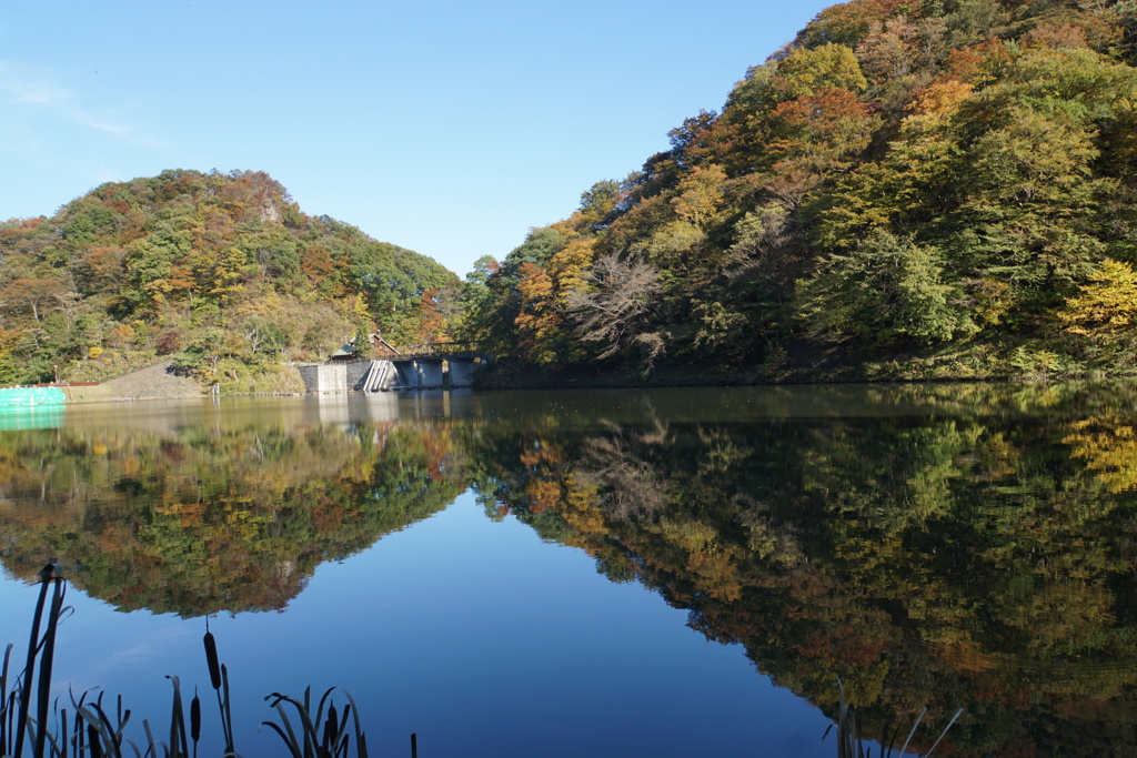碓氷湖の紅葉