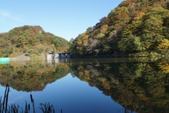 碓氷湖の紅葉