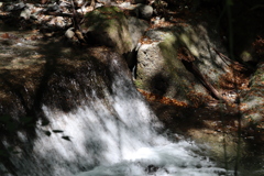 橋下の渓流