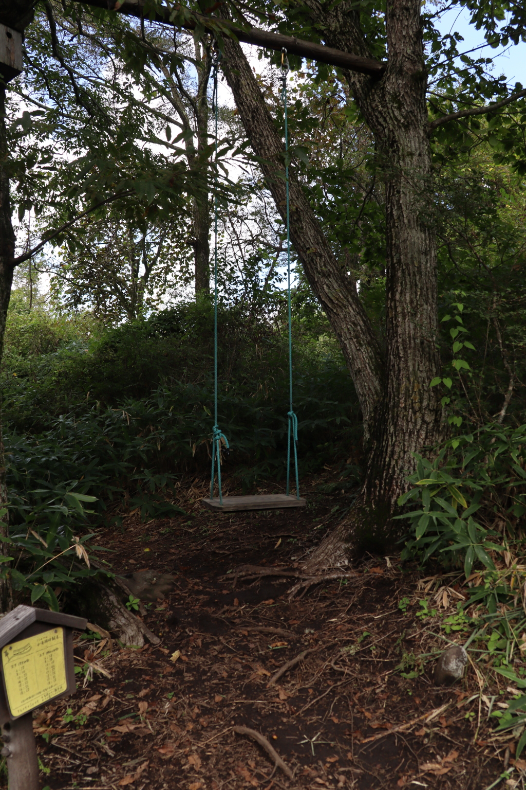 森のブランコ