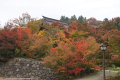 寺町の紅葉６