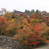 寺町の紅葉６