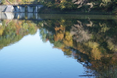 湖面に映る紅葉