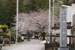 小幡神社参道
