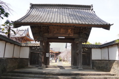 山門通して