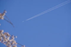 ひとすじの飛行機雲