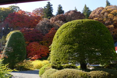 綺麗なお庭