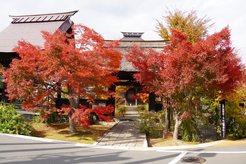 飯山の紅葉
