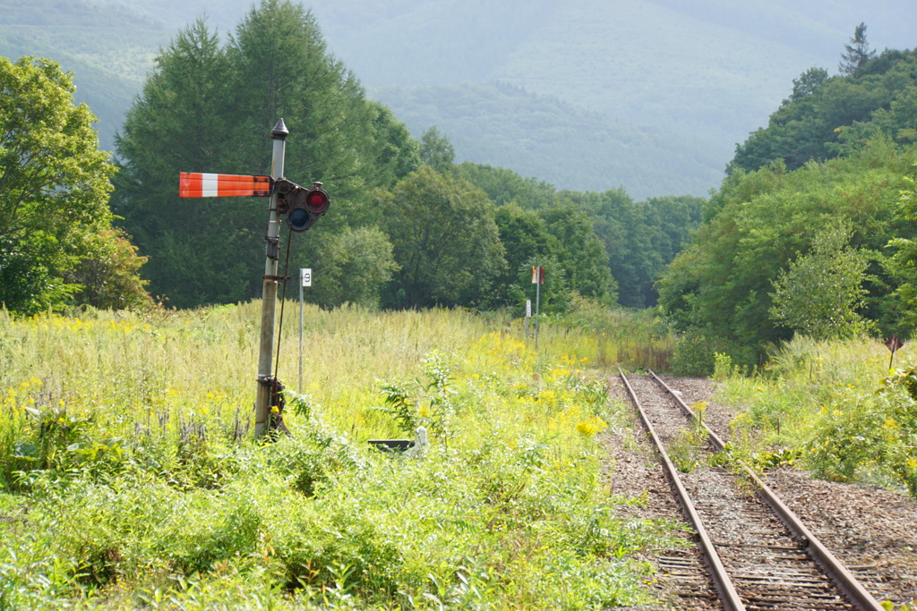 この線路の向こうには何があるの？