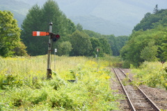 この線路の向こうには何があるの？