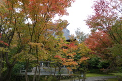 寺町の紅葉６