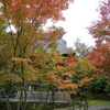 寺町の紅葉６