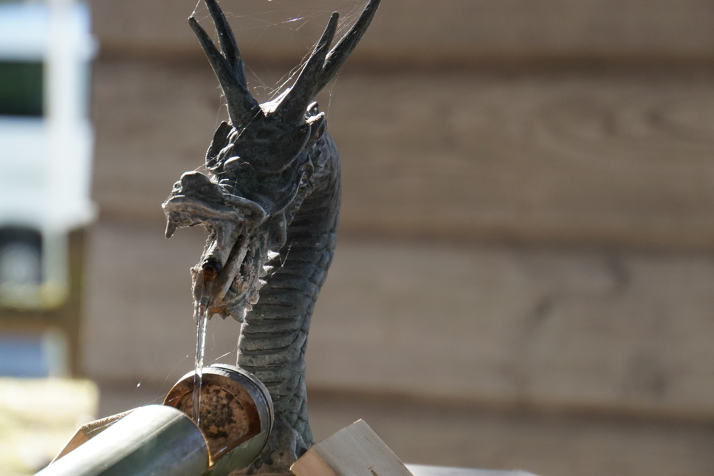 火ではなく水を吹き出す竜