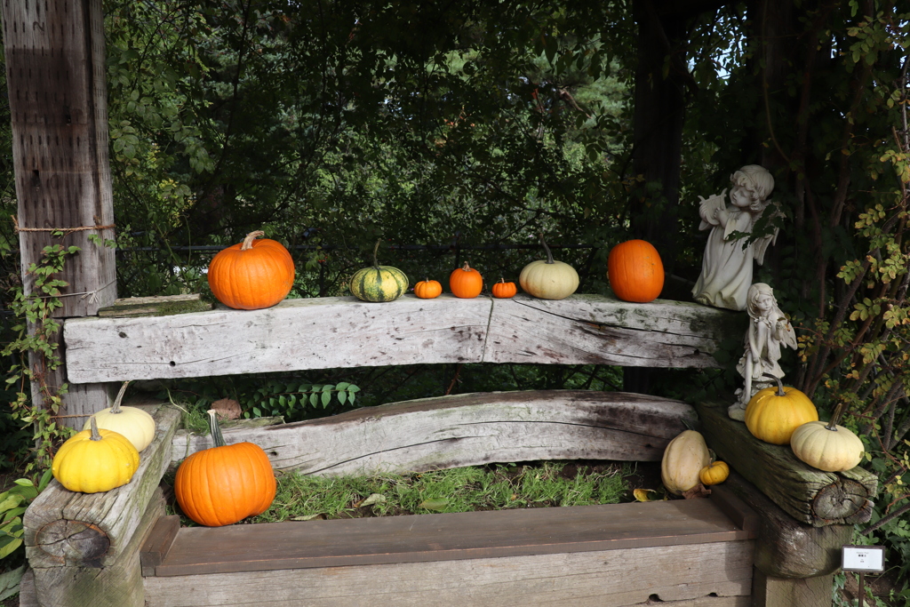 ハロウィン一色