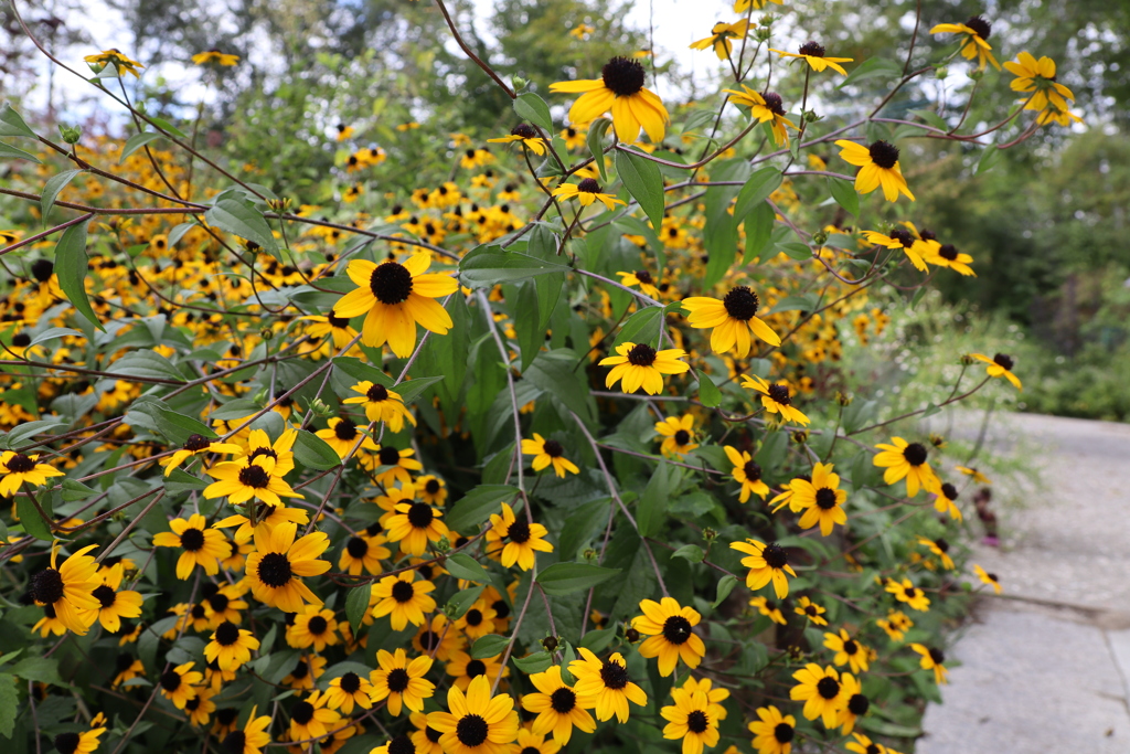 高原の爽やかな空気の下