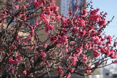 凍結しなくて良かった