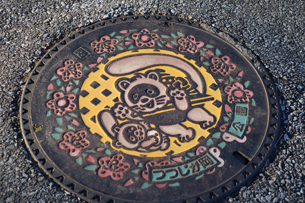 狸