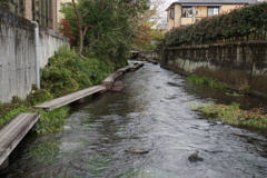 師走の源兵衛川散歩道