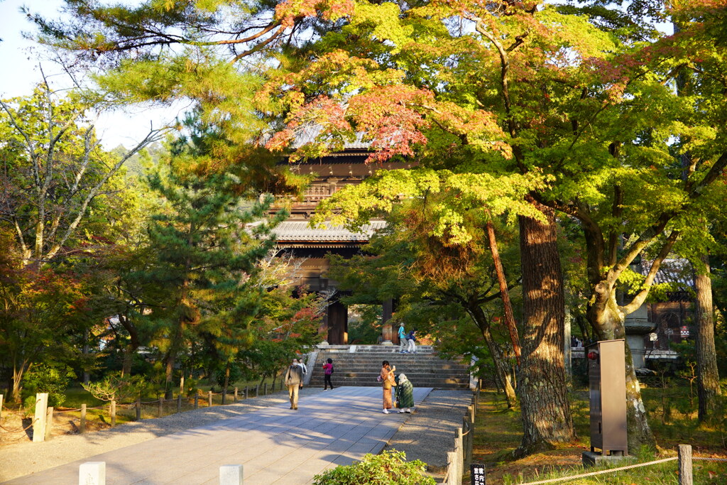 誰かが言った、真っ赤より紅葉