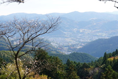 桜の向こう