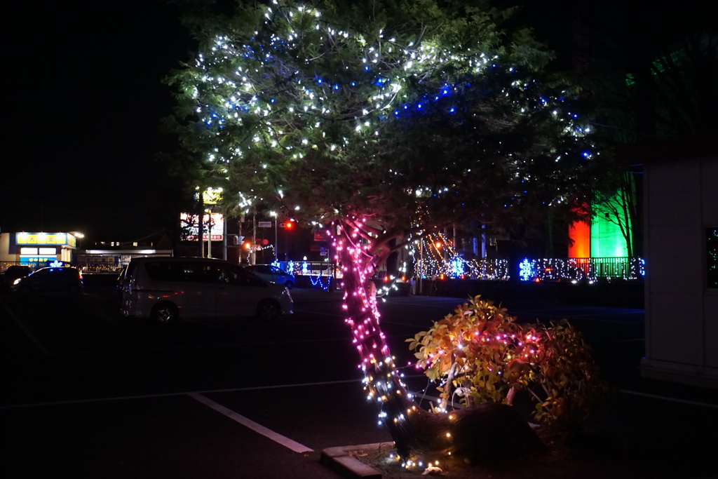 学園のイルミ１