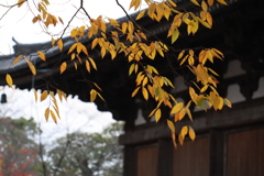 東寺