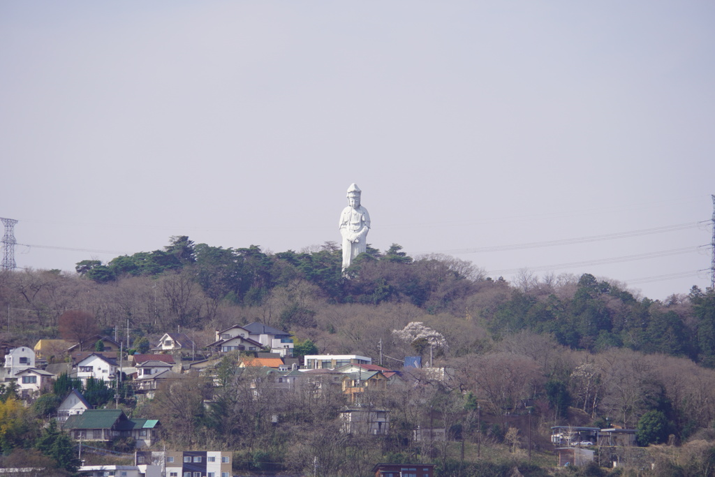 高崎市を見つめる観音様