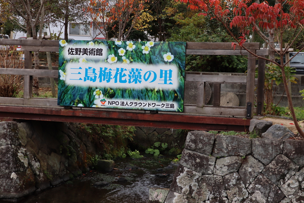 梅花藻の看板