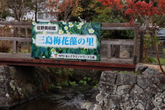 梅花藻の看板