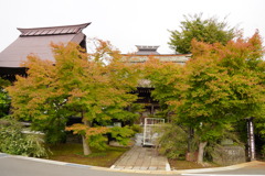 寺町飯山、色付き初め